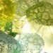 PET, plastic bottles, recycled art, Aurora Robson, green design, sustainable design, eco-design, eco-art, recycled art, pollution, waste, waste to treasure