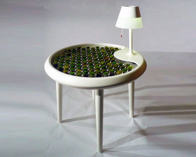 Biophotovoltaics, BPV, Moss, Table, Green design, Green furniture, bio energy harvesting