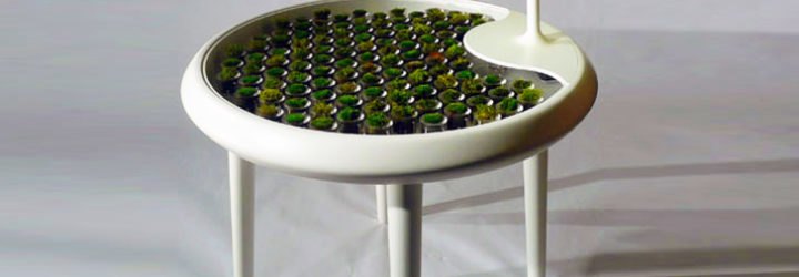 Biophotovoltaics, BPV, Moss, Table, Green design, Green furniture, bio energy harvesting