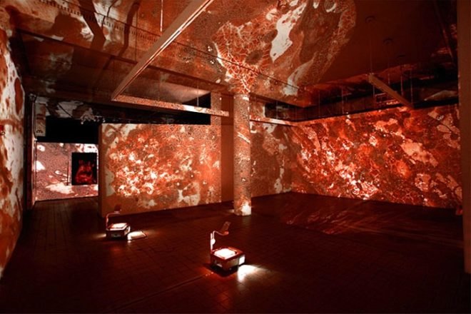 slaughterhouses, blood, Jordan Eagles, art, recycled materials, green design, sustainable design, eco-design, art, eco-art