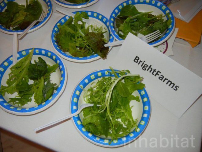 bright farms, brightfarms, brooklyn farm, farm in brooklyn, largest rooftop farm, marty markowitz, new york farm, nyc rooftop farm, world’s largest rooftop farm,