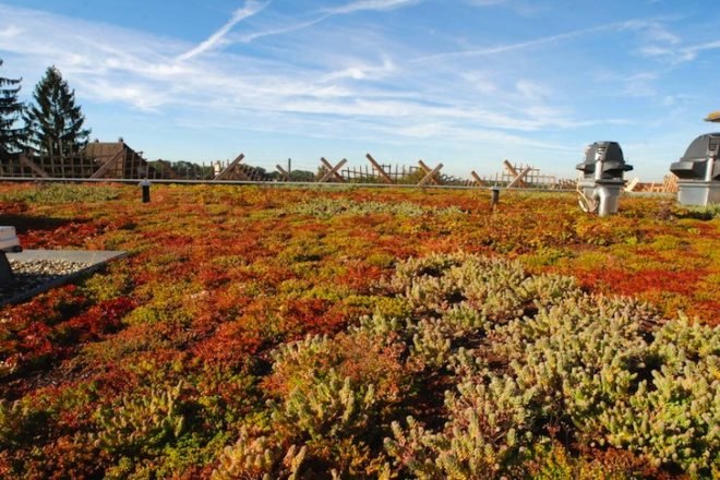 Fluor architects, Drulingen creche, France, Alsace, green design, sustainable design, eco=design, green roof, daylighting, insulation, underfloor heating, energy efficiency