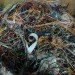 ecycling, electronics recycling, e-waste, wire, electronics, gadgets
