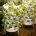 garden towers, vertical gardening, indoor gardens, miniature gardens, urban farming, garden design, hydroponics