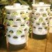 garden towers, vertical gardening, indoor gardens, miniature gardens, urban farming, garden design, hydroponics