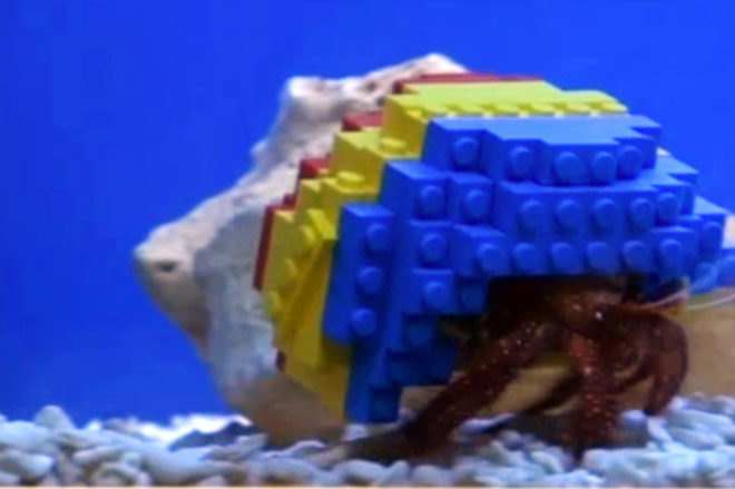 legoland windsor, henry crab, hermit crab, lego shell, lego home