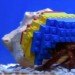 legoland windsor, henry crab, hermit crab, lego shell, lego home