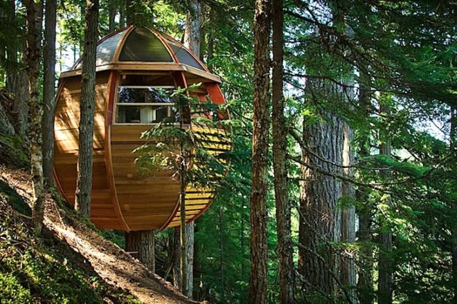 Joel Allen, treehouses, Hemloft, green design, sustainable design, Whistler, BC, eco-design, recycled materials, Craigslist, social media, forest, Canada, architecture, green design