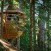 Joel Allen, treehouses, Hemloft, green design, sustainable design, Whistler, BC, eco-design, recycled materials, Craigslist, social media, forest, Canada, architecture, green design