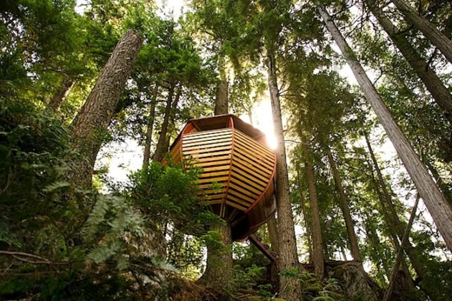 Joel Allen, treehouses, Hemloft, green design, sustainable design, Whistler, BC, eco-design, recycled materials, Craigslist, social media, forest, Canada, architecture, green design