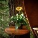 Joel Allen, treehouses, Hemloft, green design, sustainable design, Whistler, BC, eco-design, recycled materials, Craigslist, social media, forest, Canada, architecture, green design