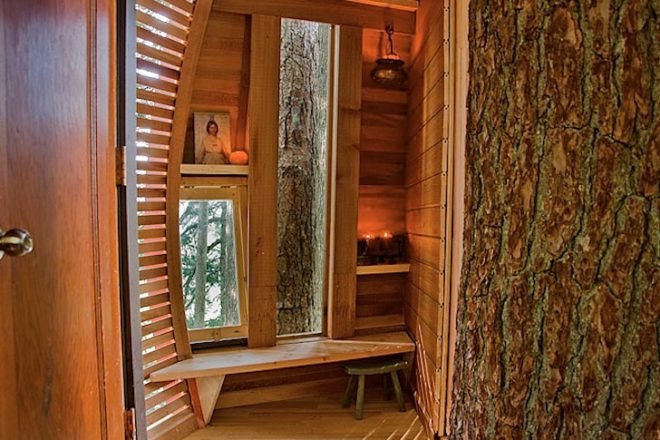 Joel Allen, treehouses, Hemloft, green design, sustainable design, Whistler, BC, eco-design, recycled materials, Craigslist, social media, forest, Canada, architecture, green design