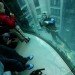 Aquadom at the Radisson Blu Hotel in Berlin, Aquadom, Radisson Blu Hotel, Hotel Aquarium, Berlin Aquarium, Amazing Hotels, Giant Aquariums, germany aquariums