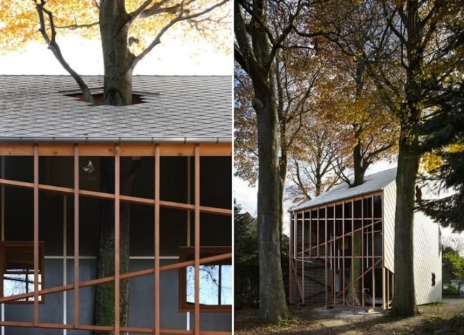 Architecten De Vylder Vinck Taillieu, House Bernheimbeuk, Belgium, Ghent, tree, daylighting, minimalist, green design, sustainable design, eco-design, small footprint, daylighting, minimalist