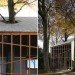 Architecten De Vylder Vinck Taillieu, House Bernheimbeuk, Belgium, Ghent, tree, daylighting, minimalist, green design, sustainable design, eco-design, small footprint, daylighting, minimalist