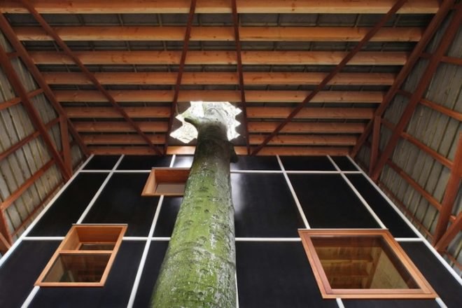 Architecten De Vylder Vinck Taillieu, House Bernheimbeuk, Belgium, Ghent, tree, daylighting, minimalist, green design, sustainable design, eco-design, small footprint, daylighting, minimalist