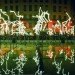 groupe laps, key frames, Fête des Lumieres 2011 in Lyon, France, LED lights, low energy usage, light installation, art installation
