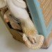 HOW TO Grow Your Own Mushrooms, Back to the Roots Kit, grow your own mushrooms, mushroom growing kit, sustainable design, sustainable food, green design, eco food, eco design, back to the roots, mushroom growing kit review, diy mushroom growing, urban farming, urban gardening