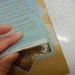 HOW TO Grow Your Own Mushrooms, Back to the Roots Kit, grow your own mushrooms, mushroom growing kit, sustainable design, sustainable food, green design, eco food, eco design, back to the roots, mushroom growing kit review, diy mushroom growing, urban farming, urban gardening