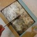 HOW TO Grow Your Own Mushrooms, Back to the Roots Kit, grow your own mushrooms, mushroom growing kit, sustainable design, sustainable food, green design, eco food, eco design, back to the roots, mushroom growing kit review, diy mushroom growing, urban farming, urban gardening