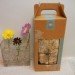 HOW TO Grow Your Own Mushrooms, Back to the Roots Kit, grow your own mushrooms, mushroom growing kit, sustainable design, sustainable food, green design, eco food, eco design, back to the roots, mushroom growing kit review, diy mushroom growing, urban farming, urban gardening