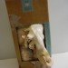 HOW TO Grow Your Own Mushrooms, Back to the Roots Kit, grow your own mushrooms, mushroom growing kit, sustainable design, sustainable food, green design, eco food, eco design, back to the roots, mushroom growing kit review, diy mushroom growing, urban farming, urban gardening