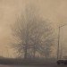 New Jersey Brush Fire Smoke, brush fires, brush fire fresh kills, brush fire staten island, high temperatures, record high temperatures