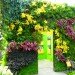 botanical, eco design, Enid A. Haupt Conservatory, green design, living wall, New York Botanical Garden, orchid show, patrick blanc, patrick blanc vertical gardens, sustainable design, vertical garden, vertical gardens, orchids, orchid show, nybg, green wall