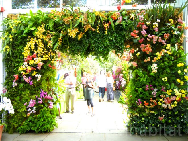 botanical, eco design, Enid A. Haupt Conservatory, green design, living wall, New York Botanical Garden, orchid show, patrick blanc, patrick blanc vertical gardens, sustainable design, vertical garden, vertical gardens, orchids, orchid show, nybg, green wall