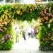 botanical, eco design, Enid A. Haupt Conservatory, green design, living wall, New York Botanical Garden, orchid show, patrick blanc, patrick blanc vertical gardens, sustainable design, vertical garden, vertical gardens, orchids, orchid show, nybg, green wall
