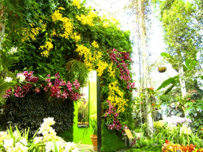 botanical, eco design, Enid A. Haupt Conservatory, green design, living wall, New York Botanical Garden, orchid show, patrick blanc, patrick blanc vertical gardens, sustainable design, vertical garden, vertical gardens, orchids, orchid show, nybg, green wall