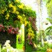 botanical, eco design, Enid A. Haupt Conservatory, green design, living wall, New York Botanical Garden, orchid show, patrick blanc, patrick blanc vertical gardens, sustainable design, vertical garden, vertical gardens, orchids, orchid show, nybg, green wall