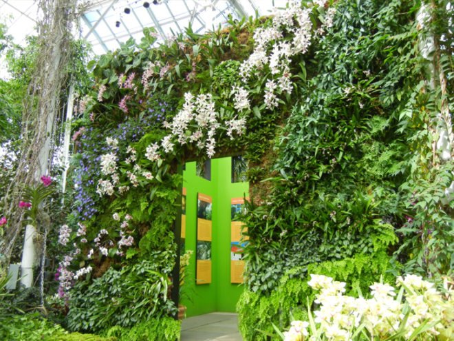 botanical, eco design, Enid A. Haupt Conservatory, green design, living wall, New York Botanical Garden, orchid show, patrick blanc, patrick blanc vertical gardens, sustainable design, vertical garden, vertical gardens, orchids, orchid show, nybg, green wall