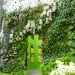 botanical, eco design, Enid A. Haupt Conservatory, green design, living wall, New York Botanical Garden, orchid show, patrick blanc, patrick blanc vertical gardens, sustainable design, vertical garden, vertical gardens, orchids, orchid show, nybg, green wall