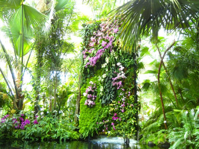botanical, eco design, Enid A. Haupt Conservatory, green design, living wall, New York Botanical Garden, orchid show, patrick blanc, patrick blanc vertical gardens, sustainable design, vertical garden, vertical gardens, orchids, orchid show, nybg, green wall