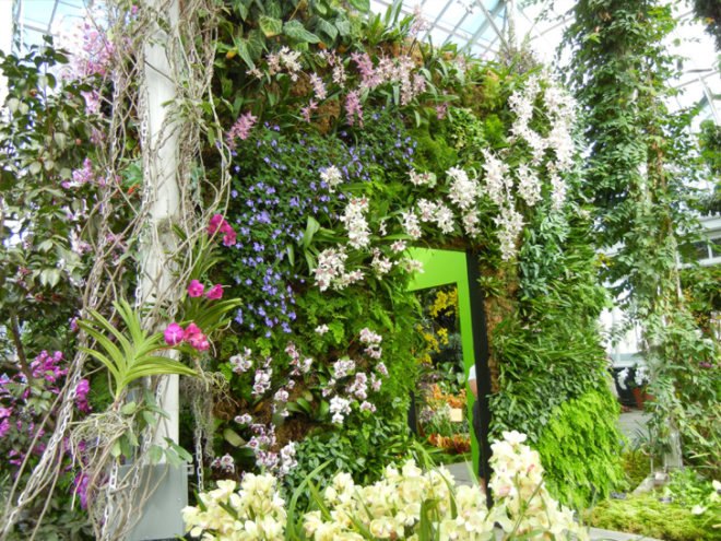 botanical, eco design, Enid A. Haupt Conservatory, green design, living wall, New York Botanical Garden, orchid show, patrick blanc, patrick blanc vertical gardens, sustainable design, vertical garden, vertical gardens, orchids, orchid show, nybg, green wall