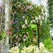 botanical, eco design, Enid A. Haupt Conservatory, green design, living wall, New York Botanical Garden, orchid show, patrick blanc, patrick blanc vertical gardens, sustainable design, vertical garden, vertical gardens, orchids, orchid show, nybg, green wall
