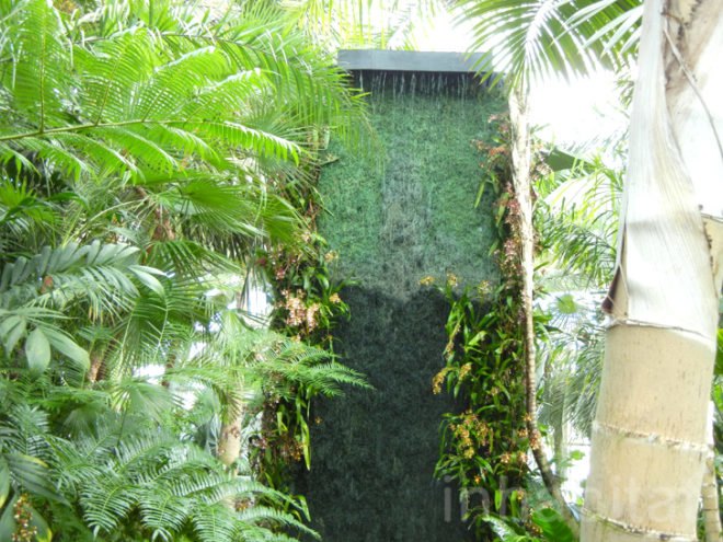 botanical, eco design, Enid A. Haupt Conservatory, green design, living wall, New York Botanical Garden, orchid show, patrick blanc, patrick blanc vertical gardens, sustainable design, vertical garden, vertical gardens, orchids, orchid show, nybg, green wall