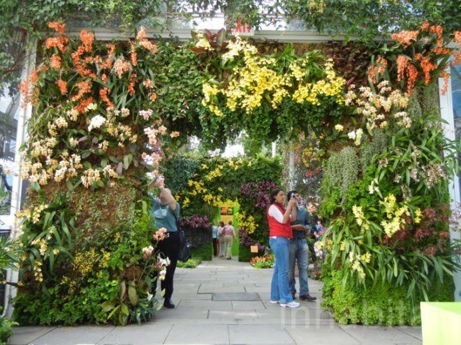 botanical, eco design, Enid A. Haupt Conservatory, green design, living wall, New York Botanical Garden, orchid show, patrick blanc, patrick blanc vertical gardens, sustainable design, vertical garden, vertical gardens, orchids, orchid show, nybg, green wall