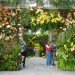 botanical, eco design, Enid A. Haupt Conservatory, green design, living wall, New York Botanical Garden, orchid show, patrick blanc, patrick blanc vertical gardens, sustainable design, vertical garden, vertical gardens, orchids, orchid show, nybg, green wall