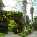 botanical, eco design, Enid A. Haupt Conservatory, green design, living wall, New York Botanical Garden, orchid show, patrick blanc, patrick blanc vertical gardens, sustainable design, vertical garden, vertical gardens, orchids, orchid show, nybg, green wall