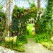 botanical, eco design, Enid A. Haupt Conservatory, green design, living wall, New York Botanical Garden, orchid show, patrick blanc, patrick blanc vertical gardens, sustainable design, vertical garden, vertical gardens, orchids, orchid show, nybg, green wall
