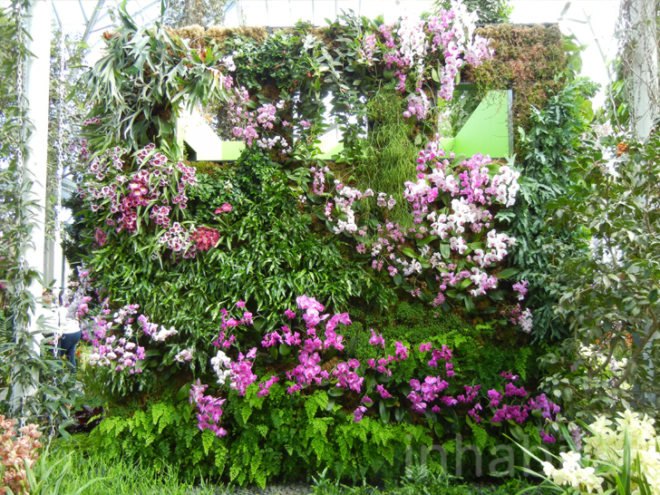 botanical, eco design, Enid A. Haupt Conservatory, green design, living wall, New York Botanical Garden, orchid show, patrick blanc, patrick blanc vertical gardens, sustainable design, vertical garden, vertical gardens, orchids, orchid show, nybg, green wall