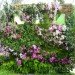 botanical, eco design, Enid A. Haupt Conservatory, green design, living wall, New York Botanical Garden, orchid show, patrick blanc, patrick blanc vertical gardens, sustainable design, vertical garden, vertical gardens, orchids, orchid show, nybg, green wall