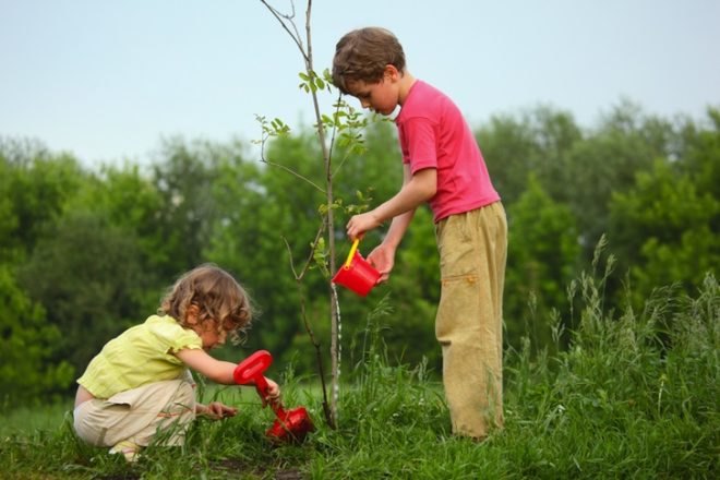 Earth Day, 2012, gardening, rooftop garden, green design, sustainable design, eco-design, nature, vegan, gardening, charity, volunteer, energy-audit, sustainable design, eco-design