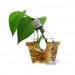 Potus Pot, recycled incandescent bulb vase, bulb vase, lightbulb vase, recycled bulb vase