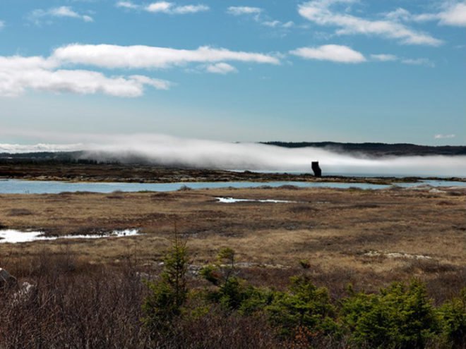 todd saunders, saunders architecture, fogo island, newfoundland canada, fogo island arts corporation, shorefast foundation