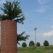 Silo trees, silos, trees, abandoned silos, farms, tree growing in silo