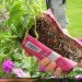 soil wrap, biodegradable soil wrap, soilwrap, costa farms, plant container you can plant, Ball Innovations, mirel, bioplastics by telles, gardening innovations, costa, green design, green packaging, eco design, sustainable design