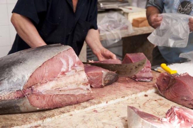 pink slime, tuna scrape, tuna salmonella, tuna backmeat, ground tuna, food poisoning from tuna, sushi food poisoning, Nakaochi Scrape